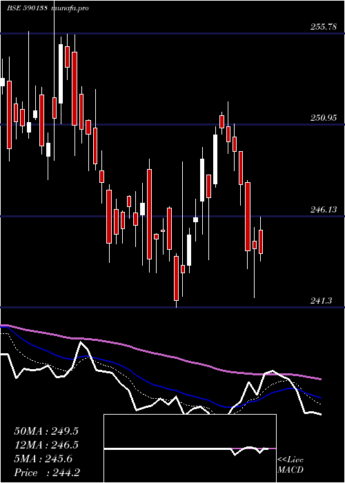  Daily chart Setfnif50