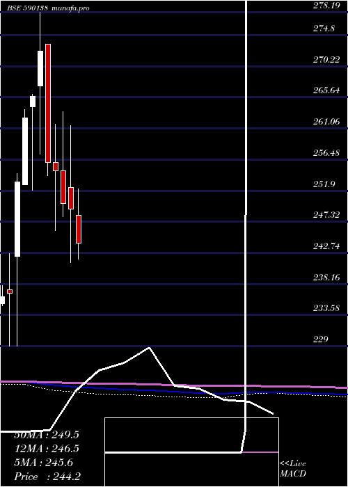  monthly chart Setfnif50