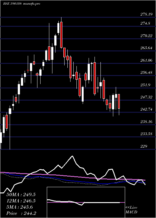  weekly chart Setfnif50