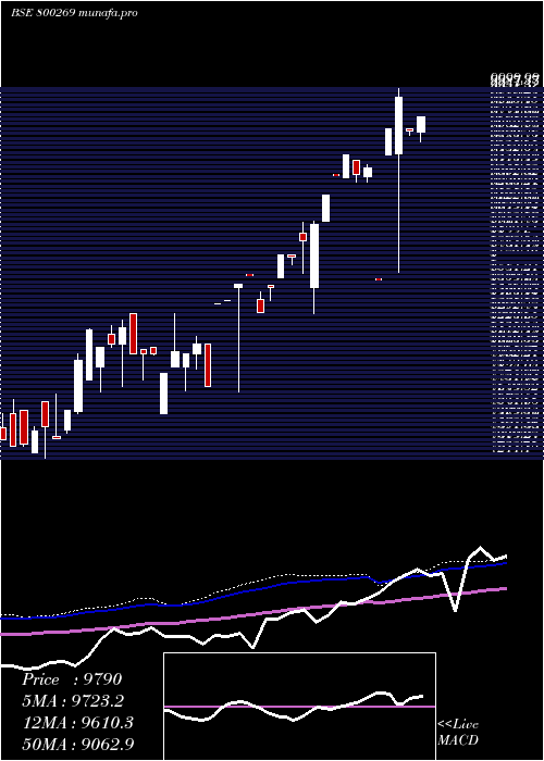 weekly chart Sgbjuly25