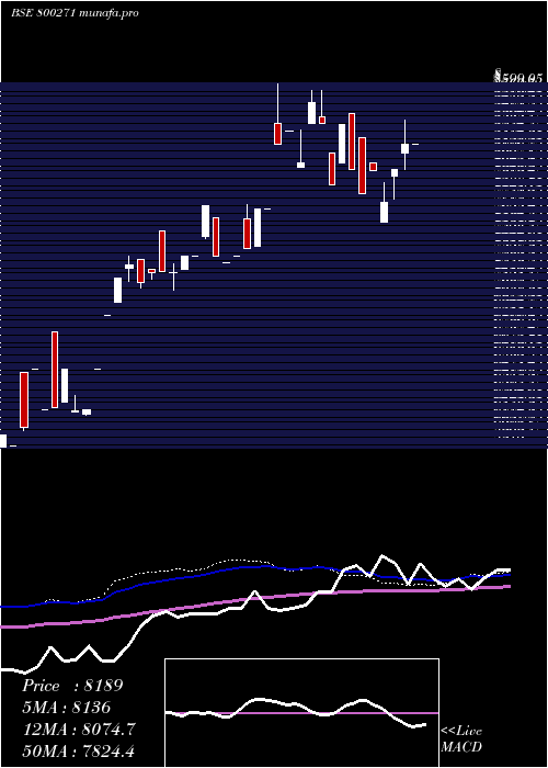  weekly chart Sgboct25a