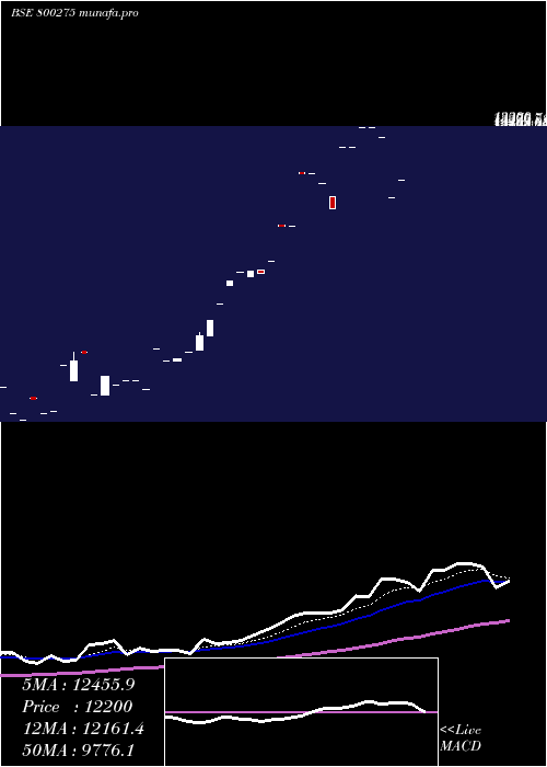 Daily chart Sgbnov25a