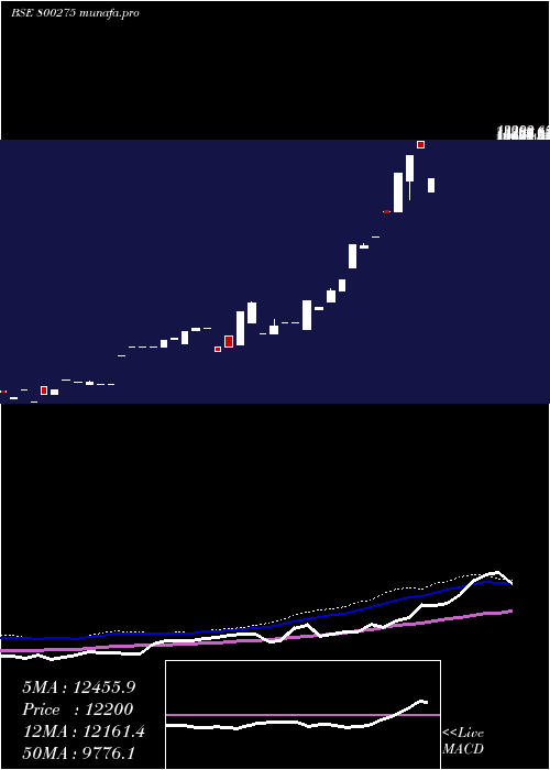 weekly chart Sgbnov25a