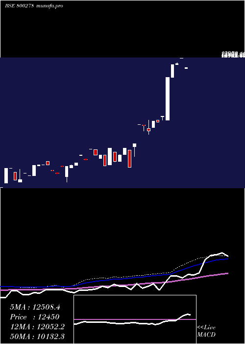 weekly chart Sgbdec25