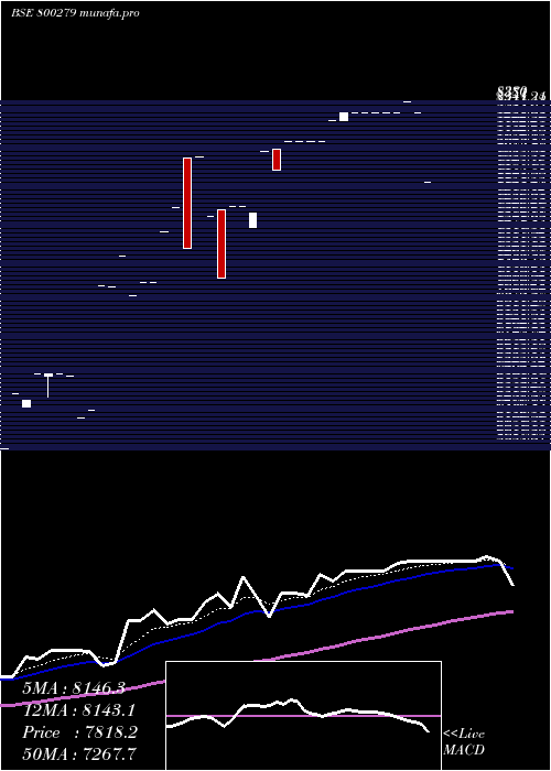  Daily chart Sgbdec25a