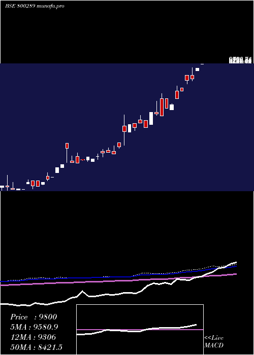 monthly chart Sgbnov26