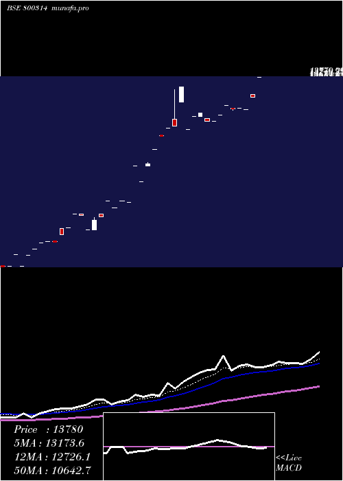  Daily chart Sgbfeb28