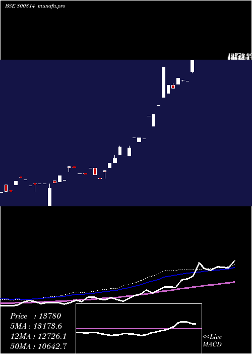  weekly chart Sgbfeb28