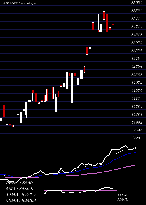  Daily chart Sgbaug28