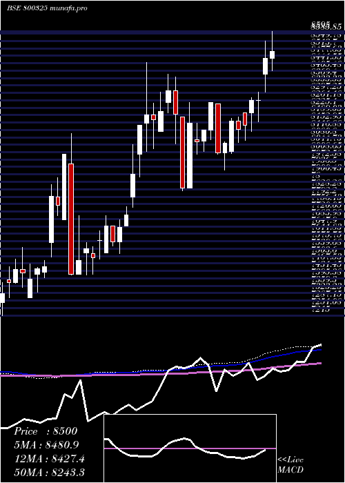  weekly chart Sgbaug28