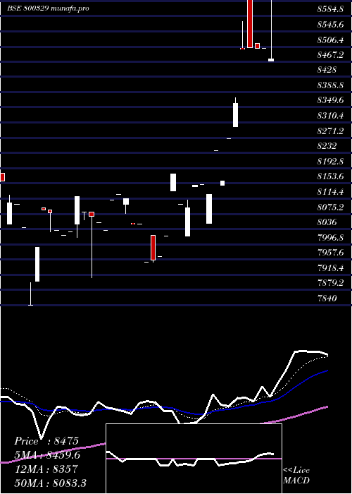  Daily chart Sgbnov28