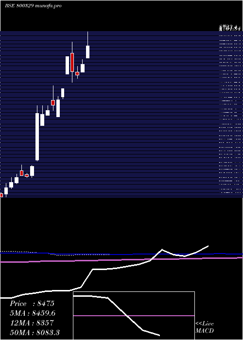  monthly chart Sgbnov28