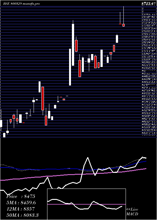  weekly chart Sgbnov28