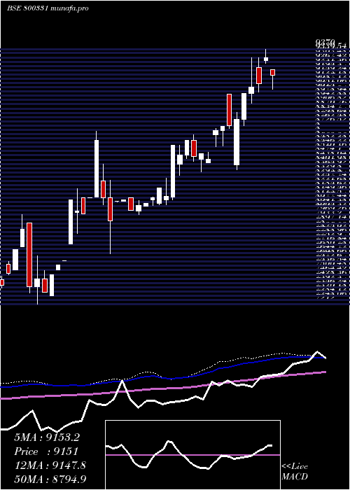 weekly chart Sgbjan29