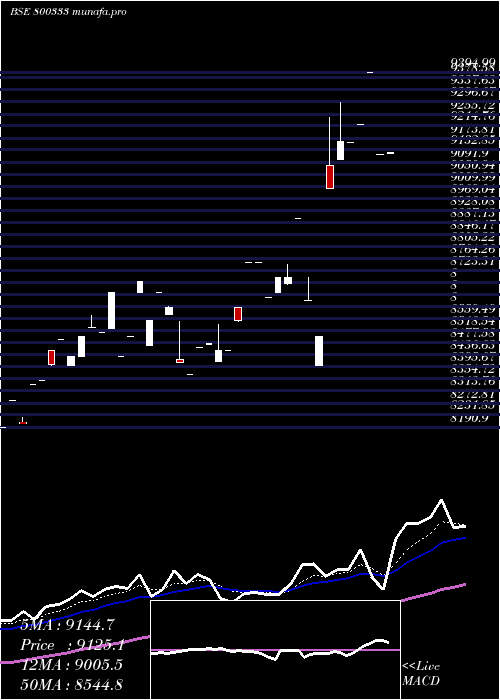 Daily chart Sgbfeb29