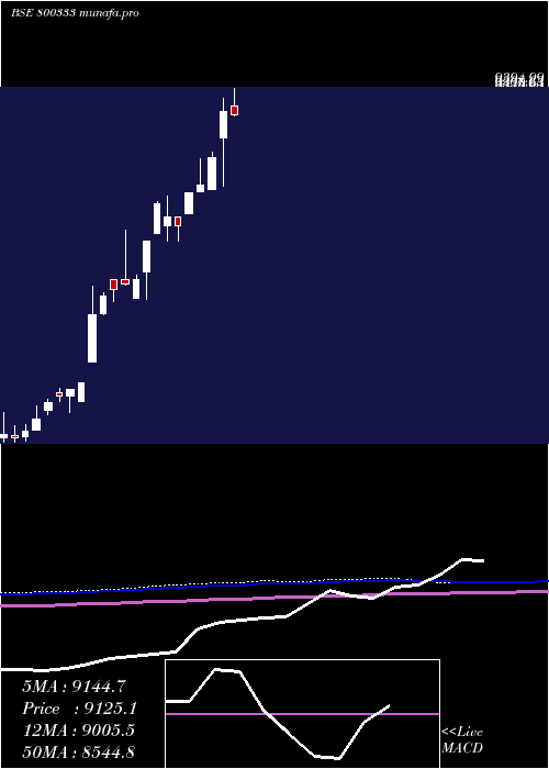 monthly chart Sgbfeb29