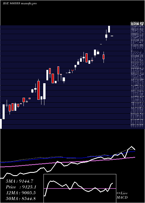 weekly chart Sgbfeb29