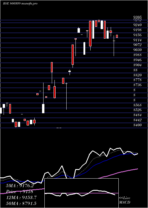 Daily chart Sgbmar29