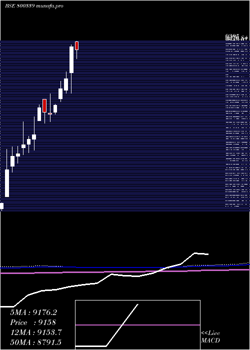 monthly chart Sgbmar29