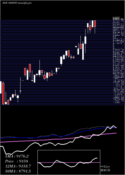 weekly chart Sgbmar29