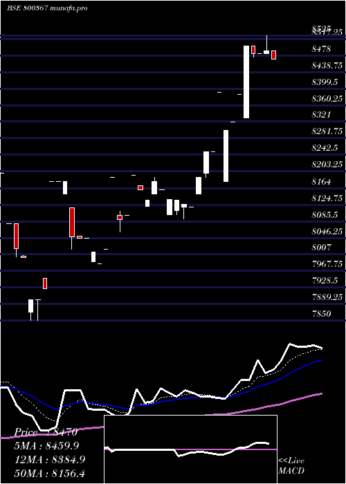  Daily chart Sgbjuly29