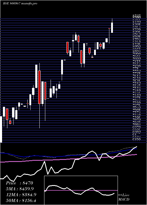  weekly chart Sgbjuly29