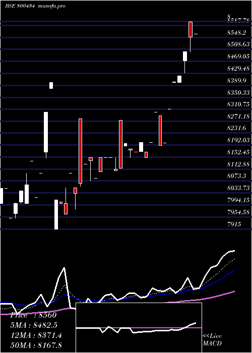  Daily chart Sgbnov29