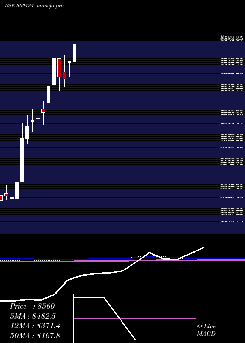  monthly chart Sgbnov29