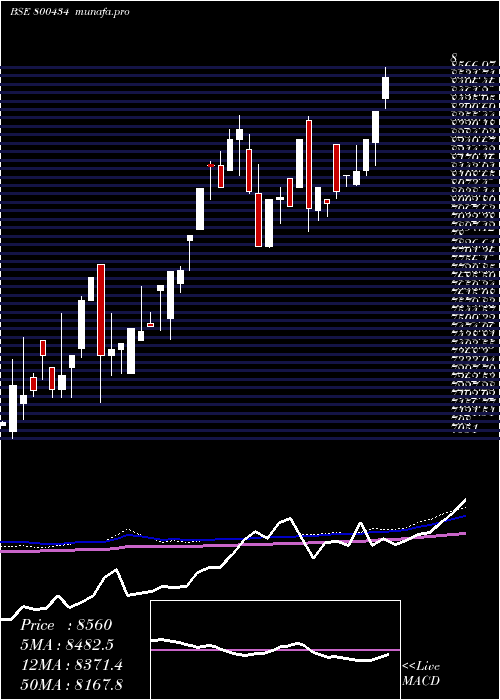  weekly chart Sgbnov29