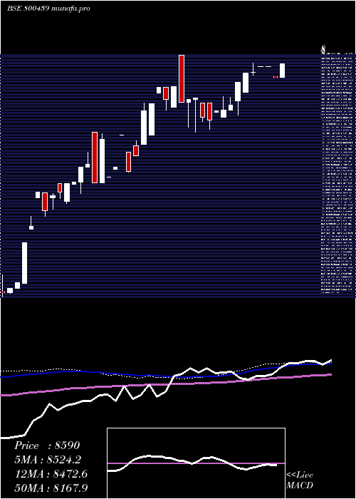  weekly chart Sgbmarch30