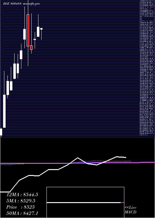  monthly chart Sgbaug30