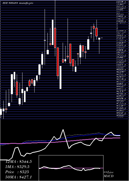  weekly chart Sgbaug30