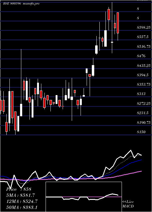  Daily chart Sgbsep31