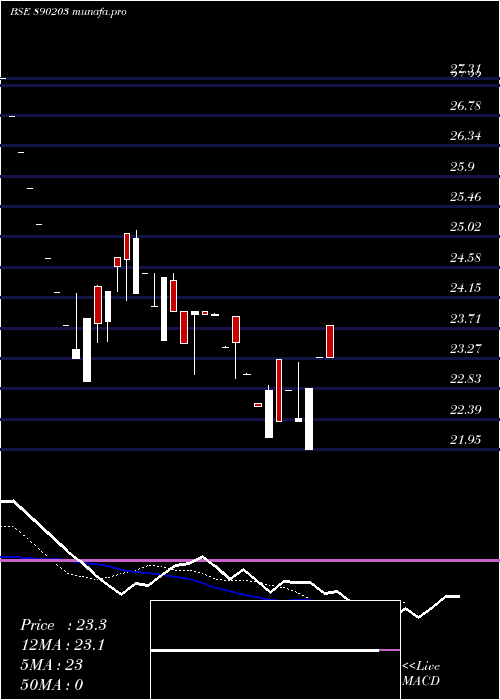  Daily chart VsfProjects