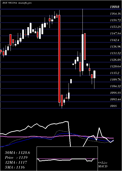 weekly chart 76nhai31