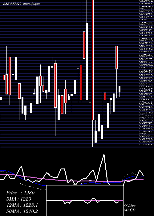  monthly chart 768ireda36