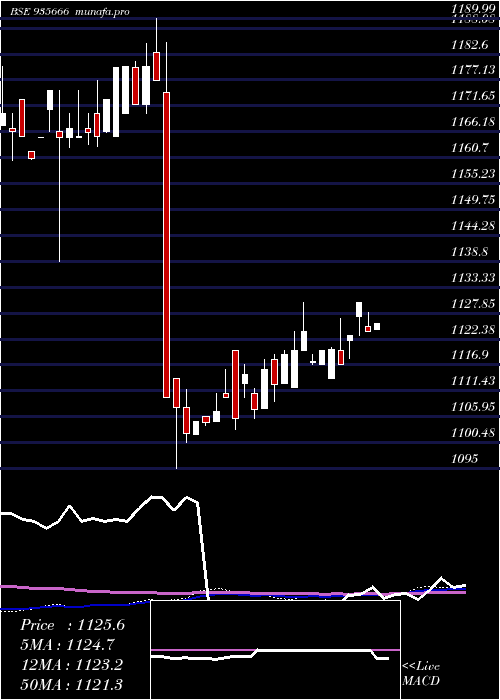  weekly chart 769nhai31