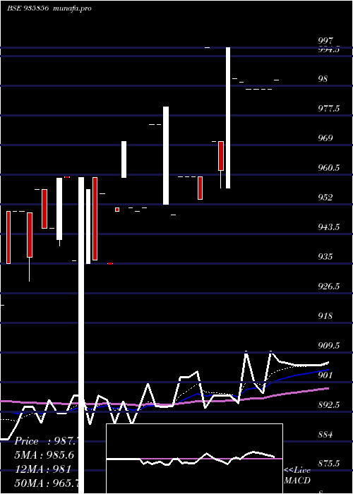 Daily chart 865ibhfl26