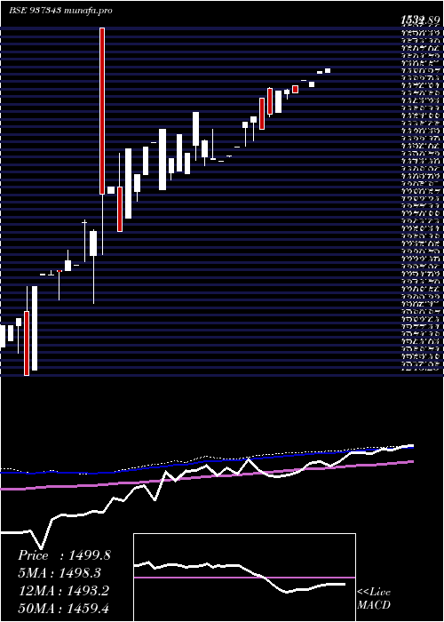 weekly chart 0efsl26