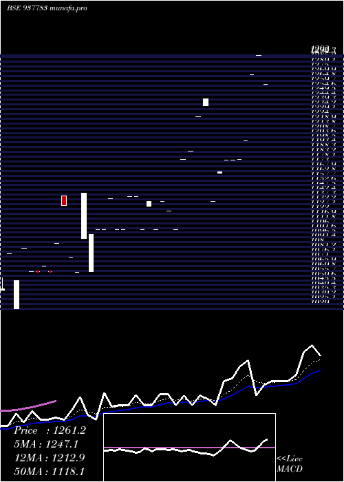  Daily chart Mfl291021b