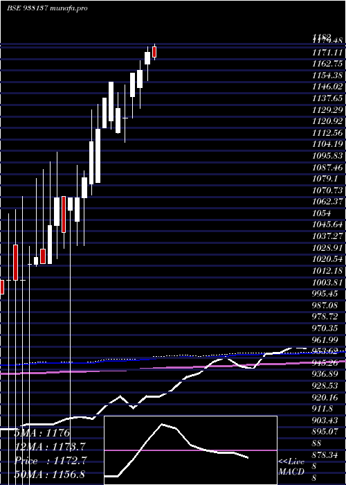  monthly chart Mfl060922