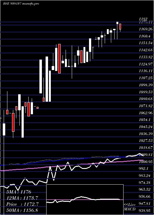  weekly chart Mfl060922