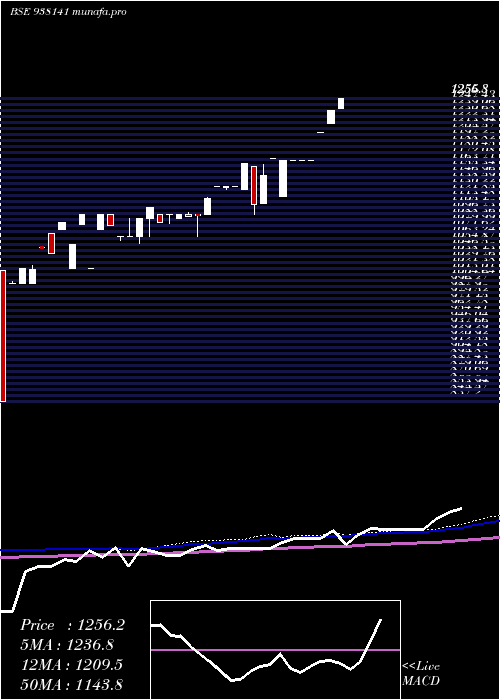 weekly chart Mfl060922b