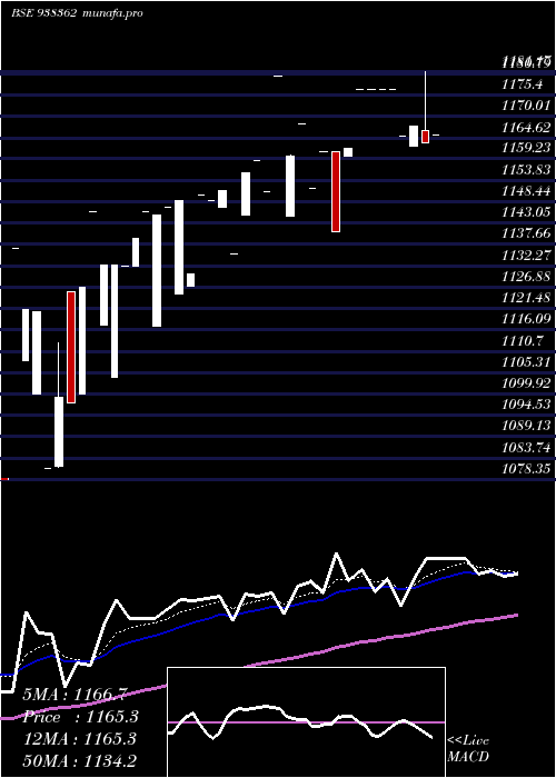  Daily chart Zcefsl26