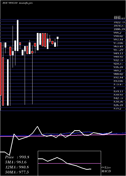 monthly chart 775mfl2026