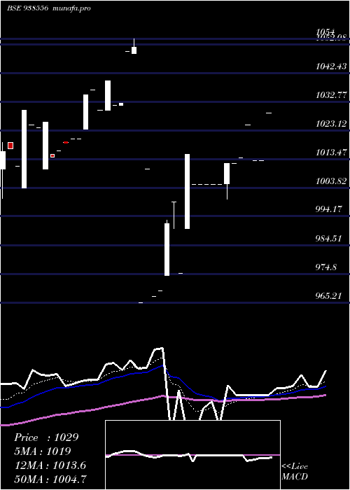 Daily chart 8mfl2026