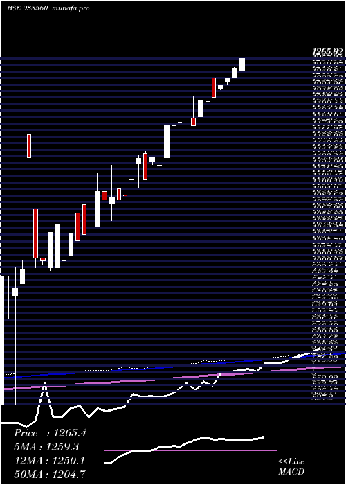  monthly chart Mfl030523