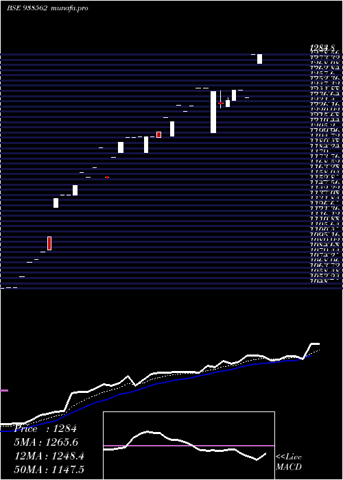  Daily chart Mfl3052023