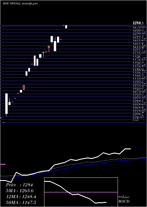  monthly chart Mfl3052023