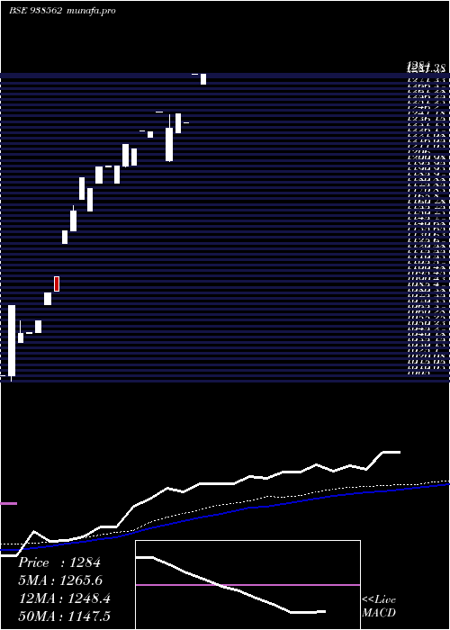  weekly chart Mfl3052023